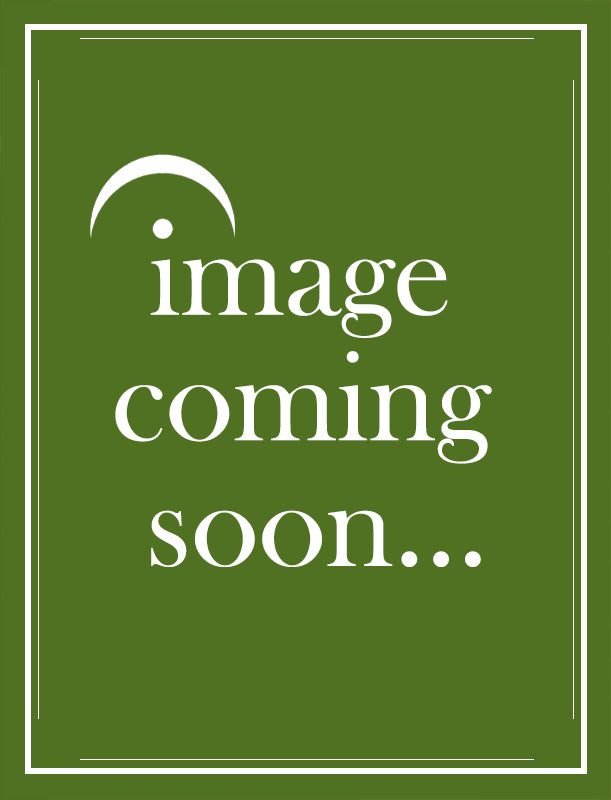 Vivaldi - Sonata in Cmaj RV48 - Flute (or Violin or Recorder)/Basso Continuo arranged by Connelly Saraband Music SM9