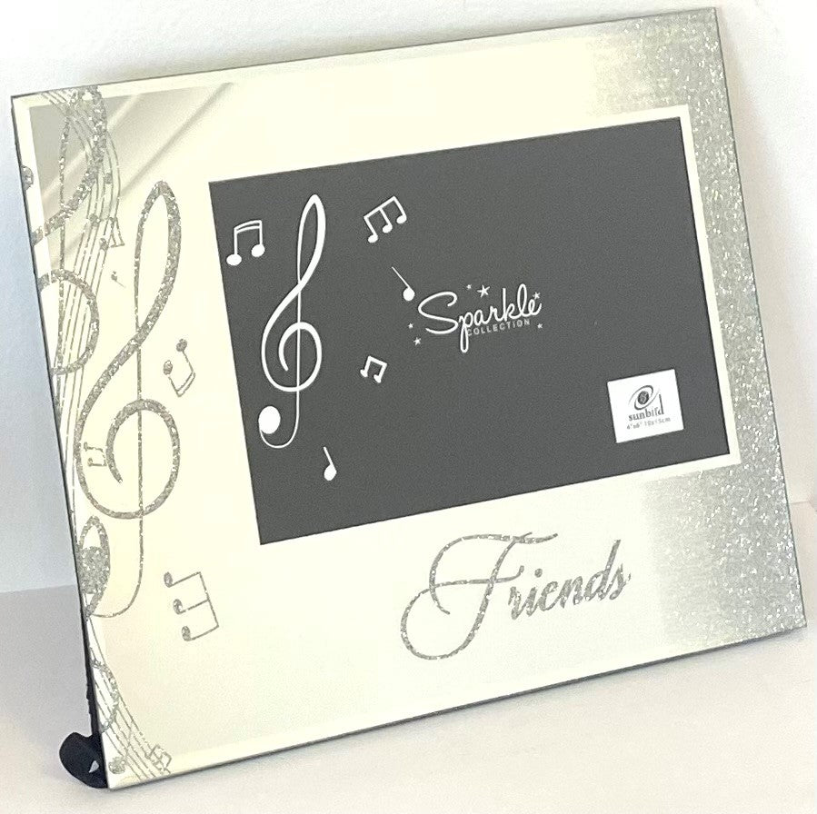 Mirrored Picture Frame Friends