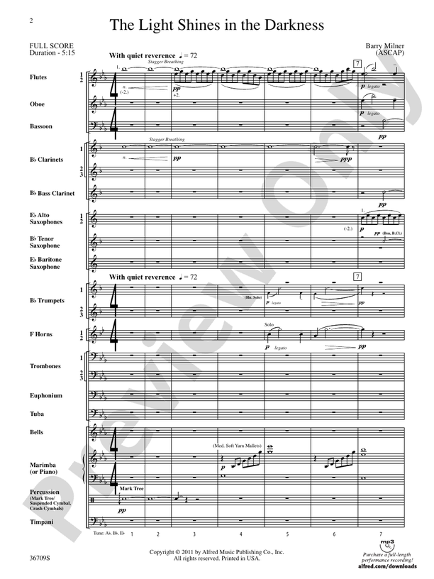The Light Shines in the Darkness - Concert Band Conductor Score & Parts (Digital Download)