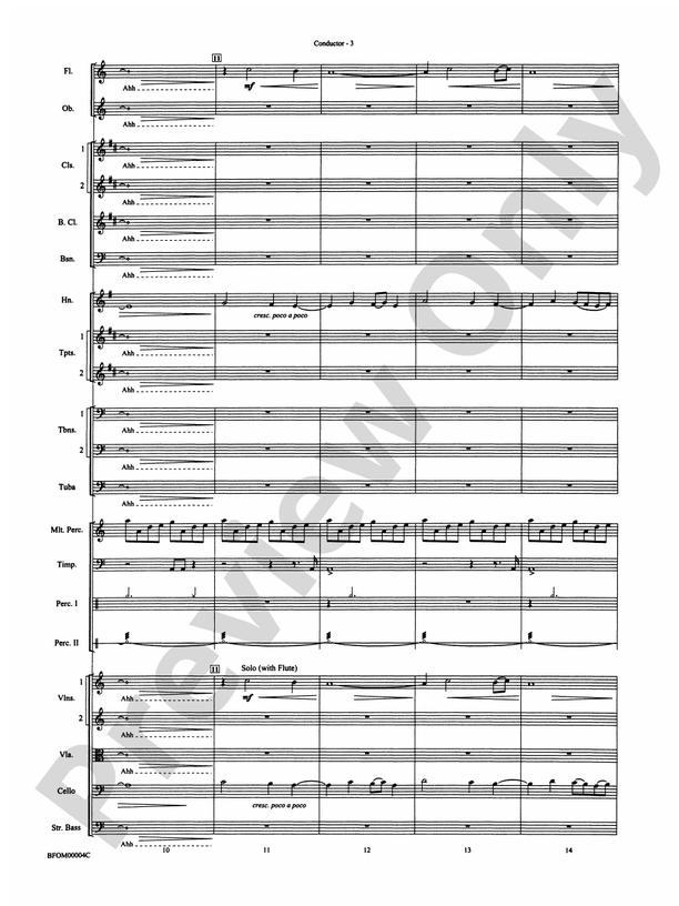 Rites of Tamburo – Full Orchestra Conductor Score & Parts (Digital Download)