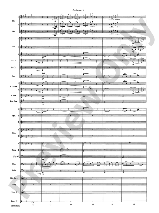 Harry's Wondrous World (from Harry Potter and the Chamber of Secrets) - Concert Band Conductor Score & Parts (Digital Download)