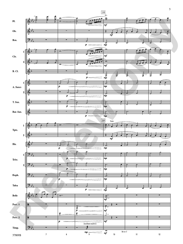 Reflections on a New Tomorrow - Concert Band Conductor Score & Parts (Digital Download)