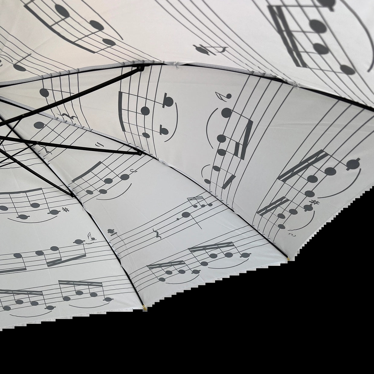 White Umbrella with Black Manuscript and Wooden Handle
