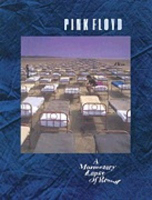 Momentary Lapse Of Reason PVG -