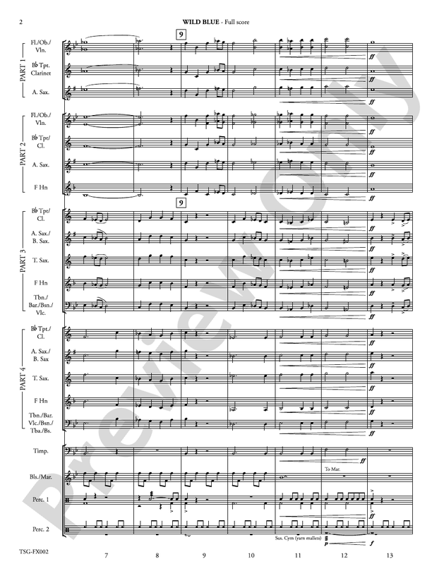 Wild Blue (Flexible Arrangement) - Concert Band Conductor Score & Parts (Digital Download)