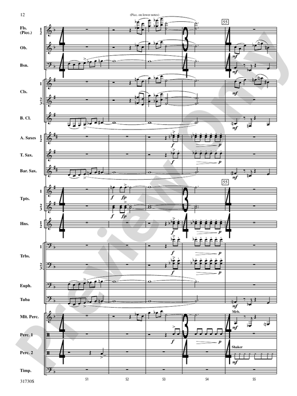 They Shall Run and Be Free - Concert Band Conductor Score & Parts (Digital Download)