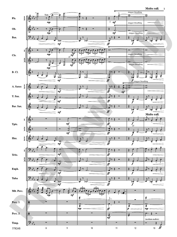 Shadows of the Equinox - Concert Band Conductor Score & Parts (Digital Download)