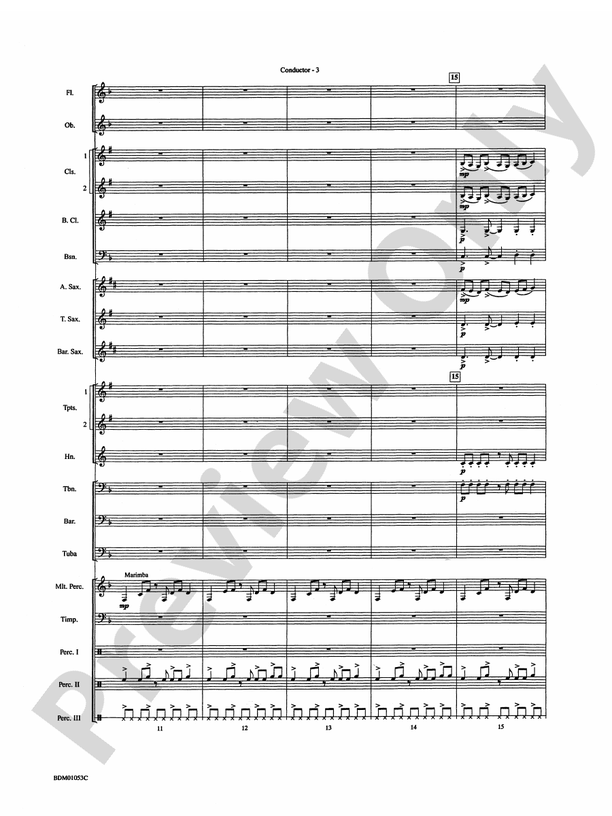 Ashford Celebration - Concert Band Conductor Score & Parts (Digital Download)