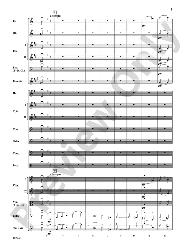 Symphony No. 5, 3rd Movement – Full Orchestra Conductor Score & Parts (Digital Download)