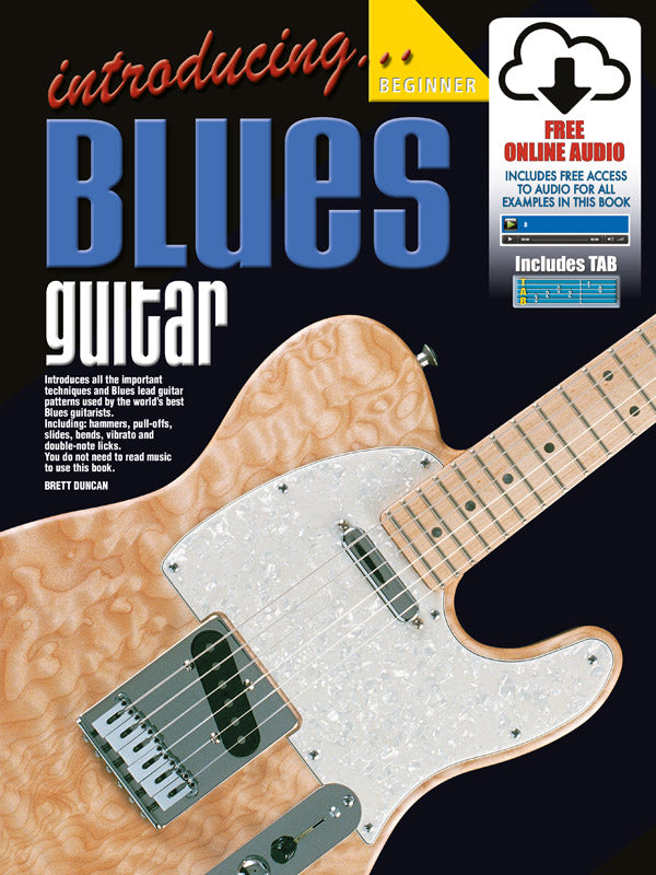 Introducing Blues Guitar Bk/CD