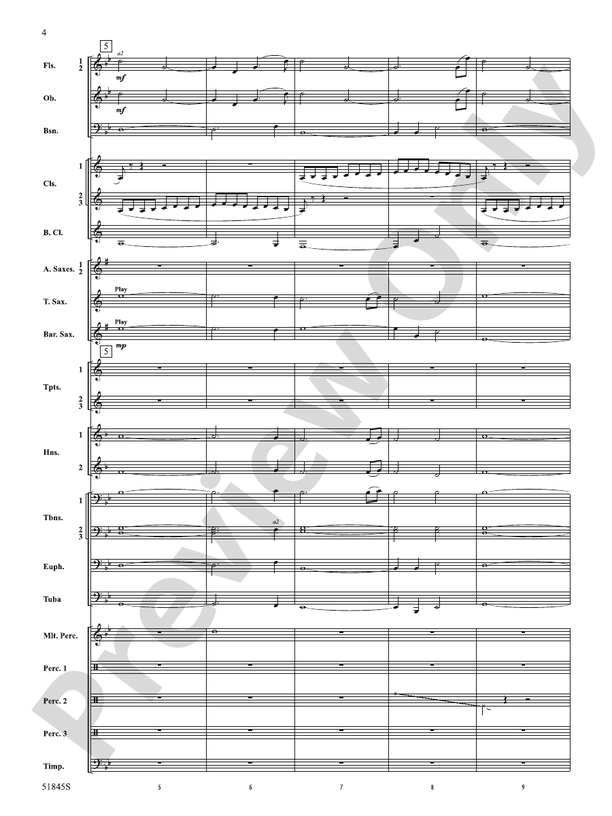 Tirelessly Through the Night... - Concert Band Conductor Score & Parts(Digital Download)