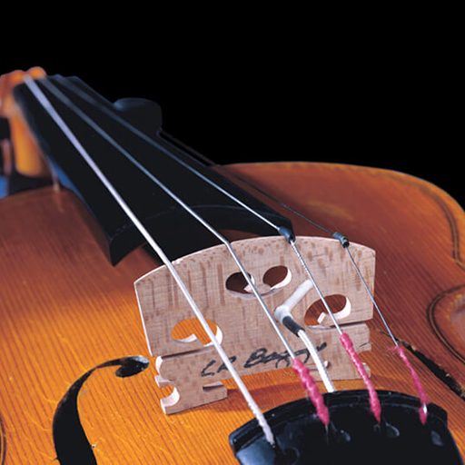LR Baggs Violin Pickup