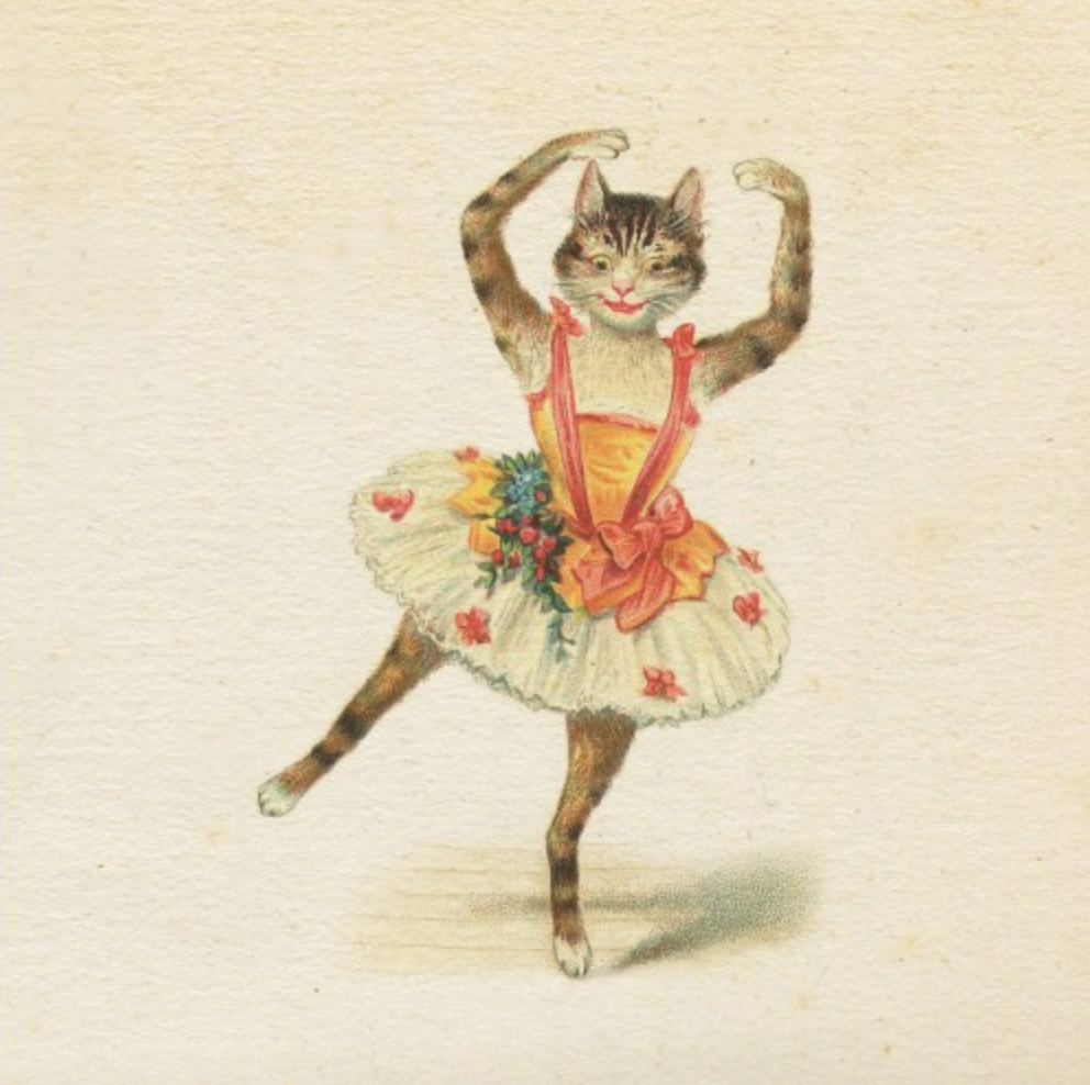 Greeting Card Cat Ballerina