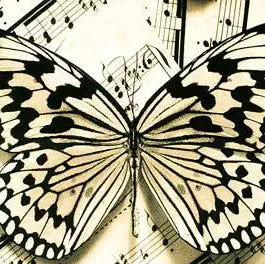 Greeting Card You Make Music Take Flight. Happy Birthday