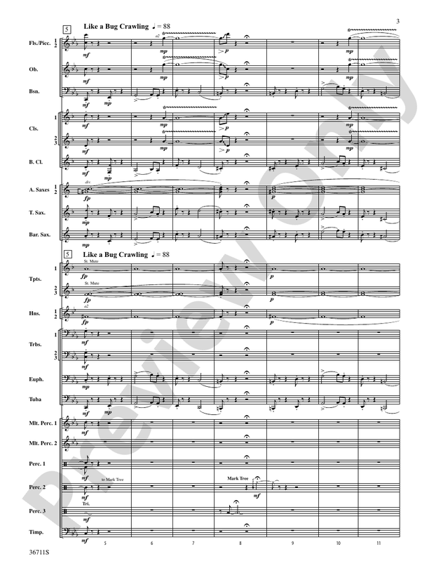 The Unexpected Journey - Concert Band Conductor Score & Parts (Digital Download)