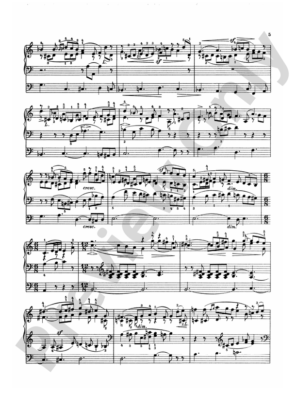 Schumann - Complete Works (Volume V) - Piano Solo (Digital Download)