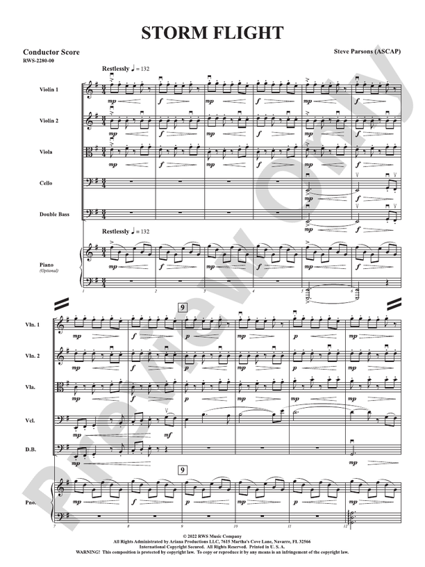 Storm Flight - String Orchestra Conductor Score & Parts (Digital Download)