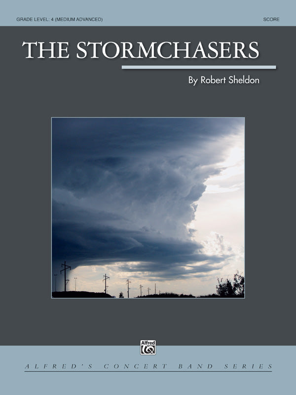 Stormchasers CB Gr 4 Sheldon Robert