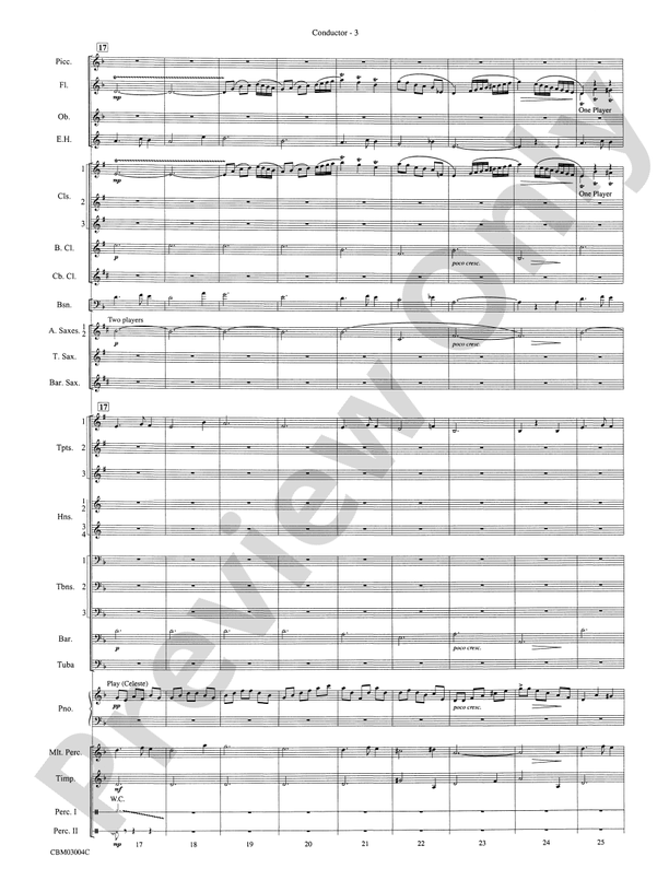 Harry Potter and the Chamber of Secrets, Symphonic Suite from - Concert Band Conductor Score & Parts (Digital Download)