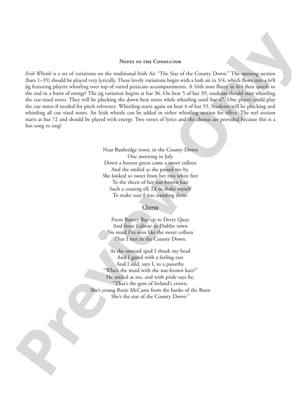 Irish Whistle – String Orchestra Conductor Score & Parts (Digital Download)