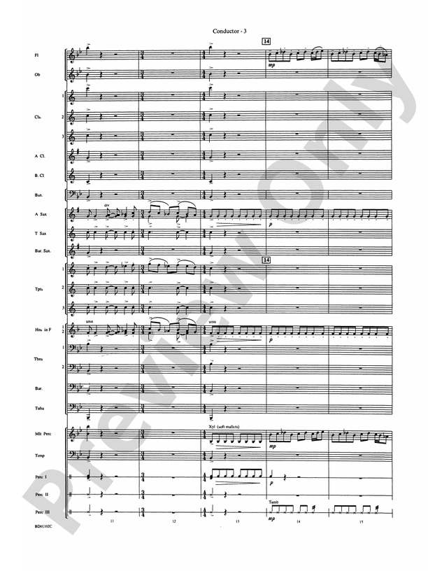 Into the Storm - Concert Band Conductor Score & Parts (Digital Download)