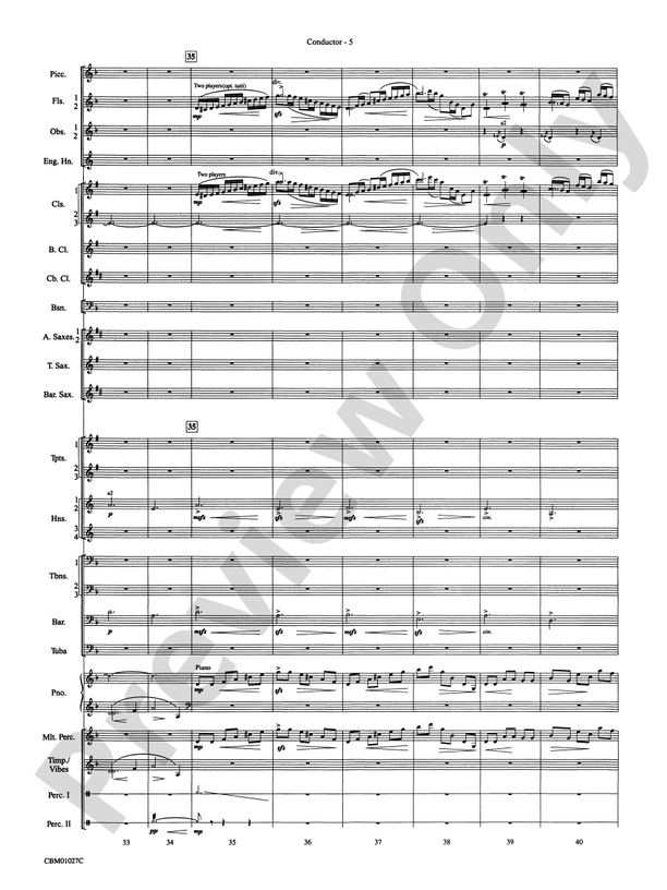 Harry Potter Symphonic Suite - Concert Band Conductor Score & Parts (Digital Download)