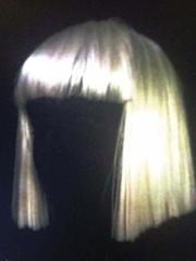 Never Give Up - Sia - PVG (Digital Download)
