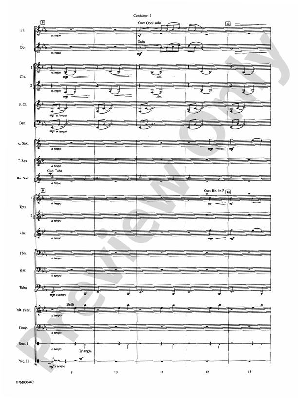 A Christmas Hymn - Concert Band Conductor Score & Parts (Digital Download)
