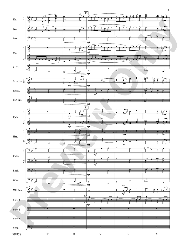 Tirelessly Through the Night... - Concert Band Conductor Score & Parts(Digital Download)