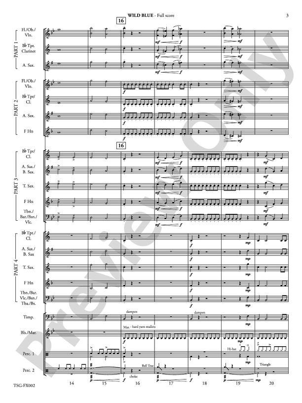 Wild Blue (Flexible Arrangement) - Concert Band Conductor Score & Parts (Digital Download)