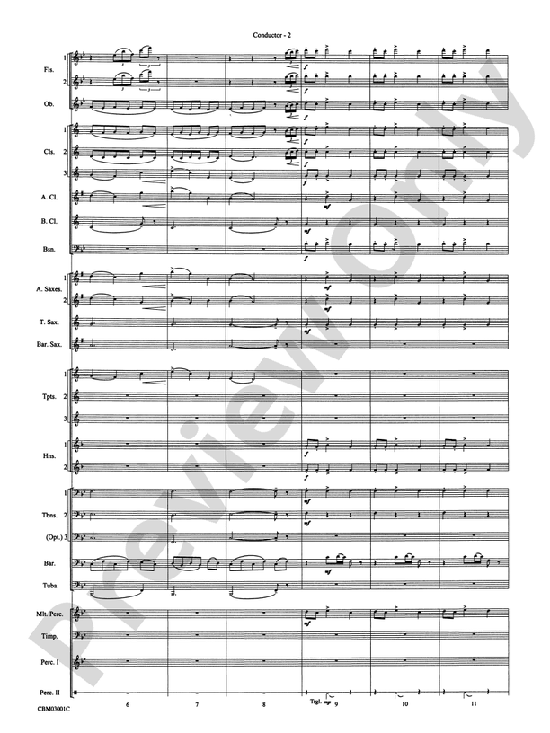 Harry's Wondrous World (from Harry Potter and the Chamber of Secrets) - Concert Band Conductor Score & Parts (Digital Download)
