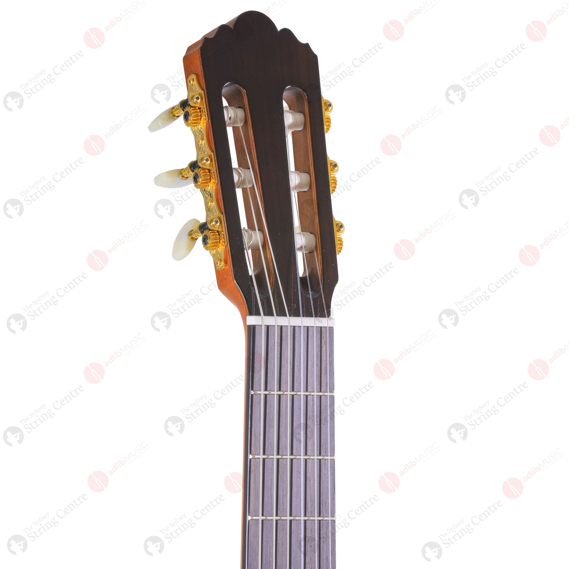 Yamaha GC22C Classical Guitar with Reinforced Bag