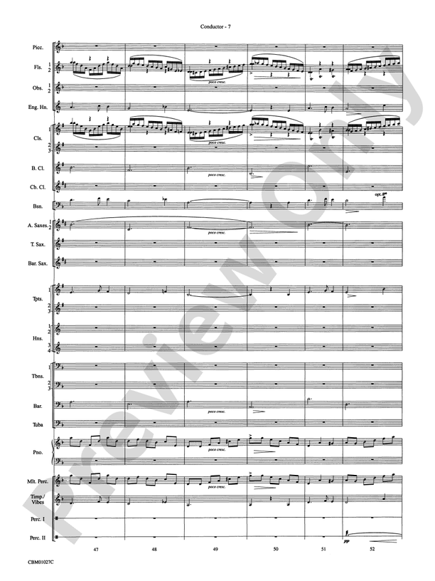 Harry Potter Symphonic Suite - Concert Band Conductor Score & Parts (Digital Download)