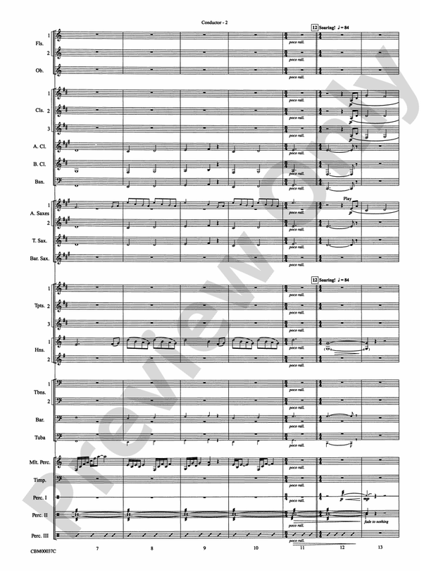 The Perfect Storm (from the Warner Bros. Motion Picture) - Concert Band Conductor Score & Parts (Digital Download)