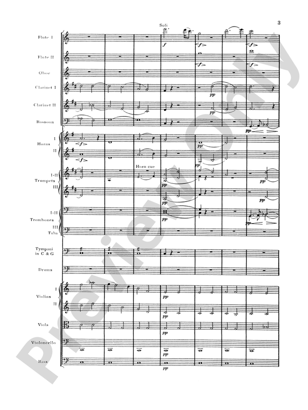 Brahms's 1st Symphony, 4th Movement – Full Orchestra Conductor Score & Parts (Digital Download)