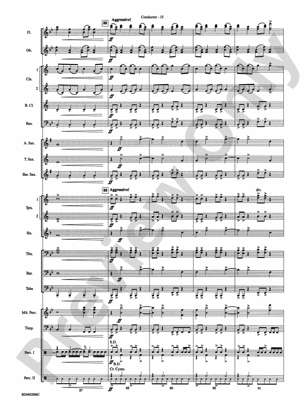 When Summer Takes Flight - Concert Band Conductor Score & Parts (Digital Download)