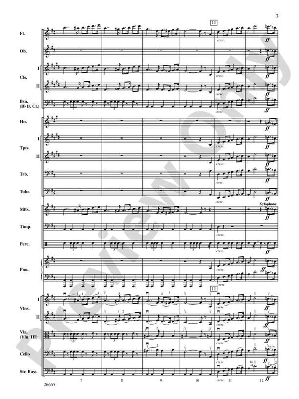 Robin Hood and His Merry Men - Full Orchestra Conductor Score & Parts (Digital Download)