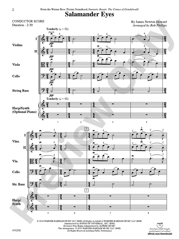 Salamander Eyes - String Orchestra Conductor Score & Parts (Digital Download)