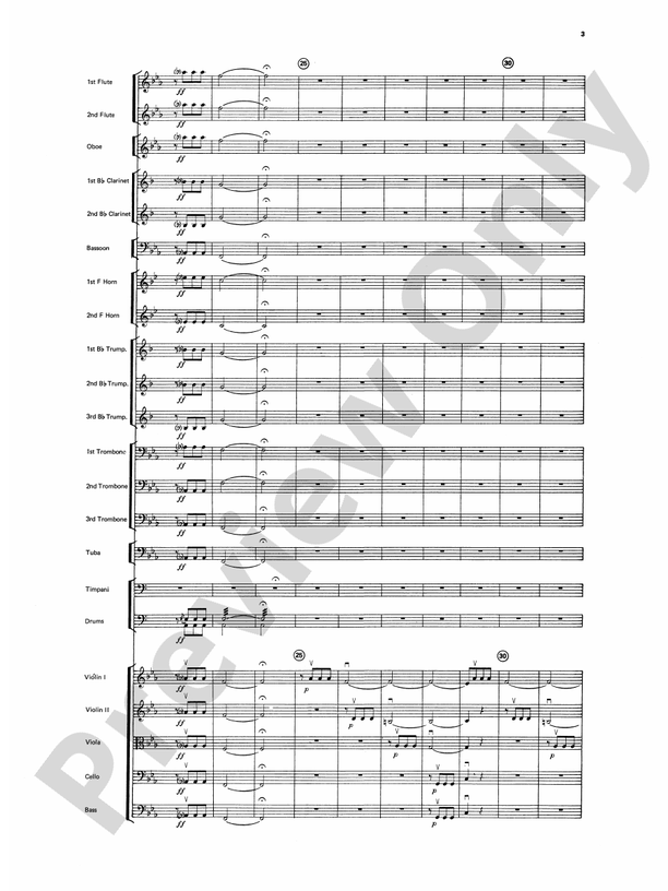 Beethoven's Symphony No. 5, 1st Movement – Full Orchestra Conductor Score & Parts (Digital Download)