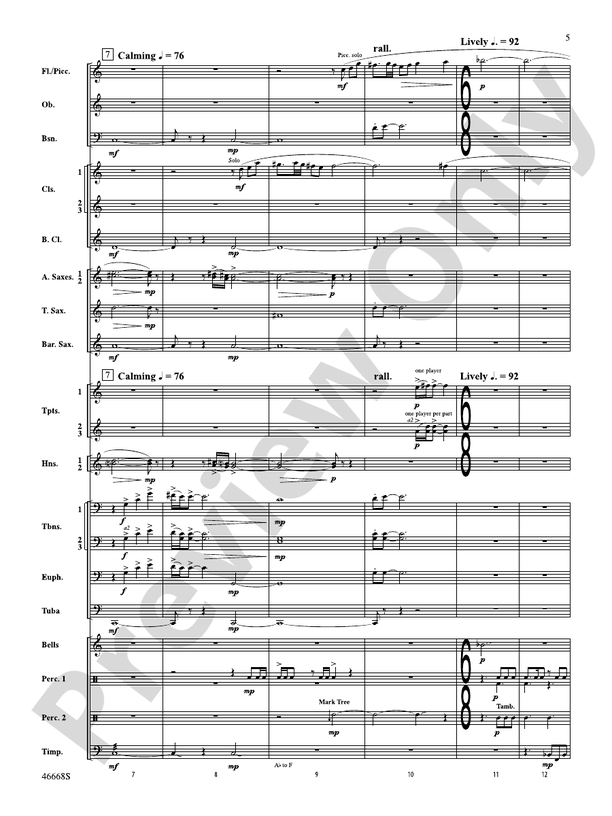 Skydance - Concert Band Conductor Score & Parts (Digital Download)